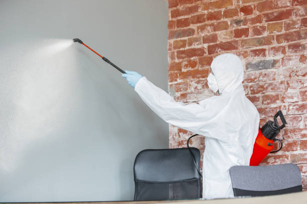 Best Comprehensive Air Testing for Mold Contaminants  in Cherry Hills Village, CO