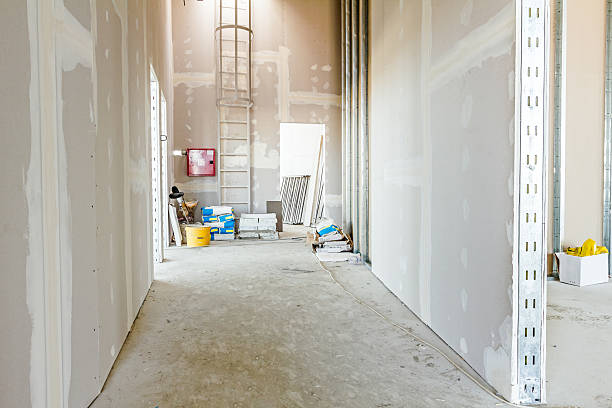 Best Residential Mold Inspection & Testing  in Cherry Hills Village, CO
