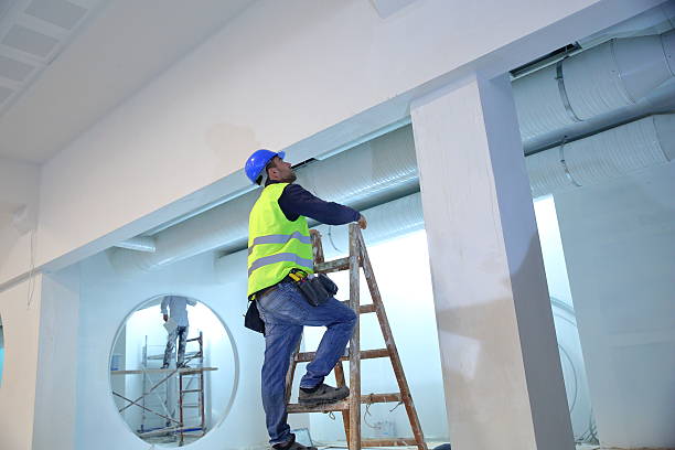 Mold Odor Removal Services in Cherry Hills Village, CO